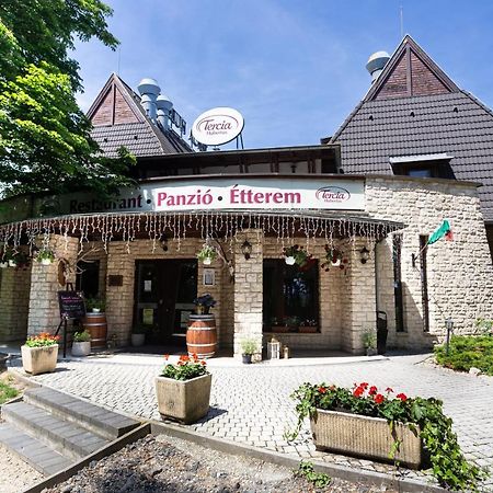 쇼프론 Tercia Hubertus Panzio B&B 외부 사진