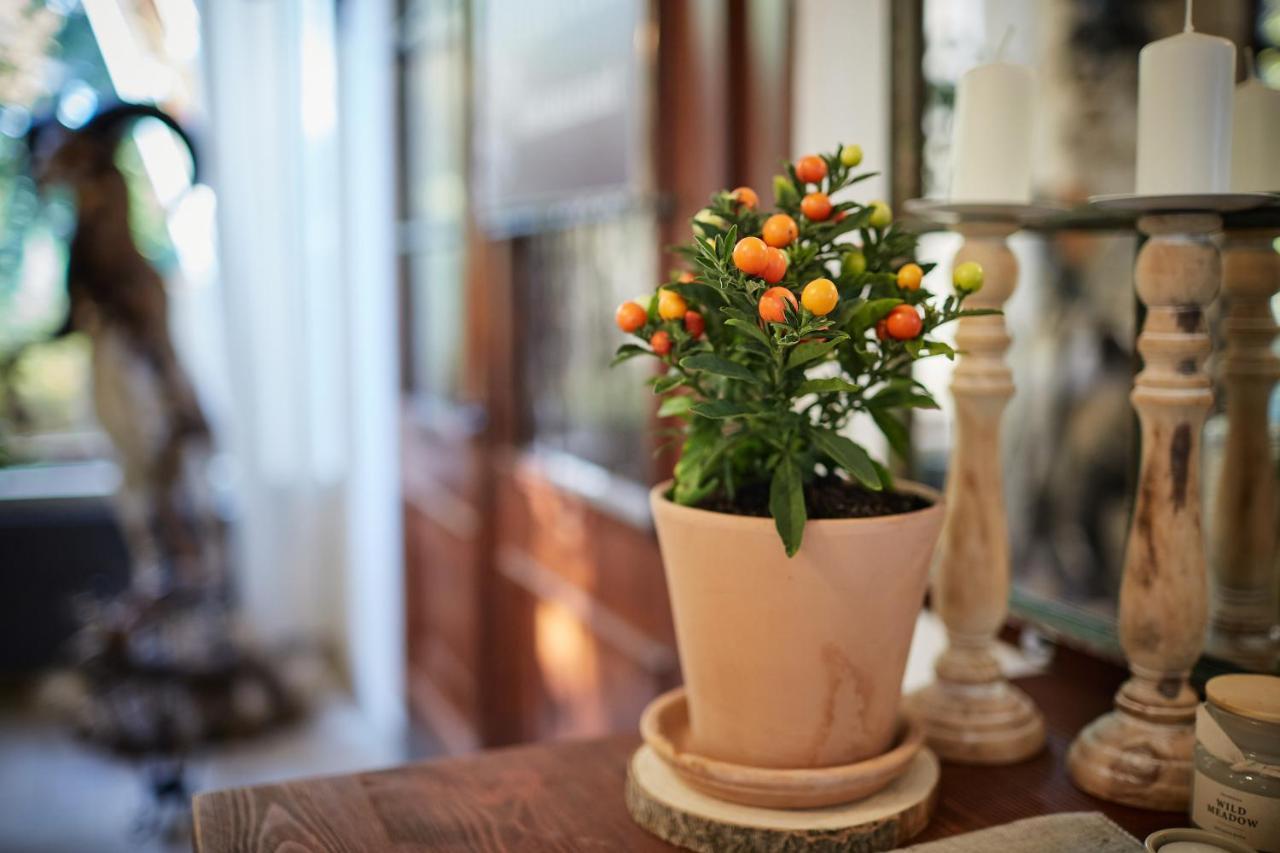 쇼프론 Tercia Hubertus Panzio B&B 외부 사진