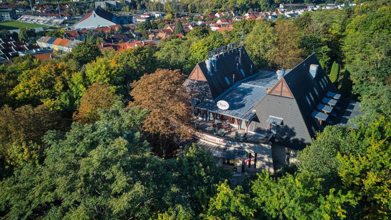 쇼프론 Tercia Hubertus Panzio B&B 외부 사진
